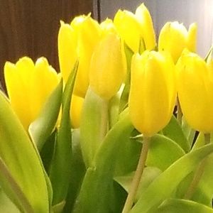 Meet your Posher, Elise